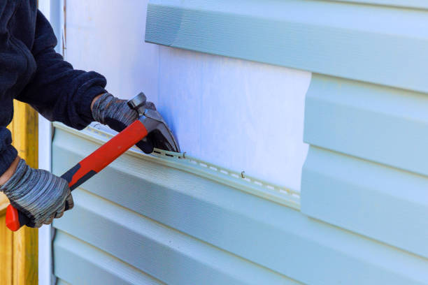 Best Aluminum Siding Installation  in Winchester, IL